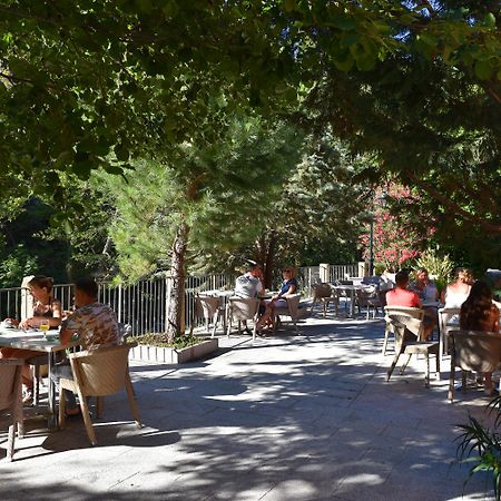 Les Jardins De La Glaciere Corte  Zewnętrze zdjęcie